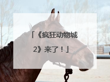 《疯狂动物城2》来了！