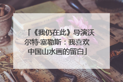 《我仍在此》导演沃尔特·塞勒斯：我喜欢中国山水画的留白