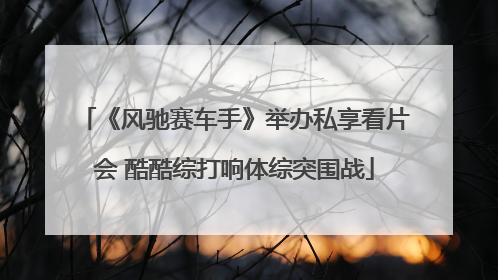 《风驰赛车手》举办私享看片会 酷酷综打响体综突围战