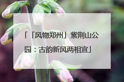 「风物郑州」紫荆山公园：古韵新风两相宜