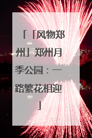 「风物郑州」郑州月季公园：一路繁花相迎