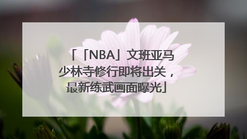 「NBA」文班亚马少林寺修行即将出关，最新练武画面曝光
