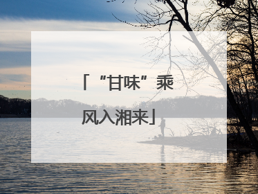 “甘味”乘风入湘来