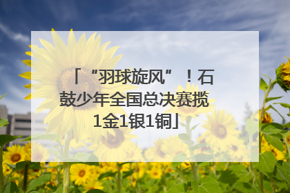 “羽球旋风”！石鼓少年全国总决赛揽1金1银1铜