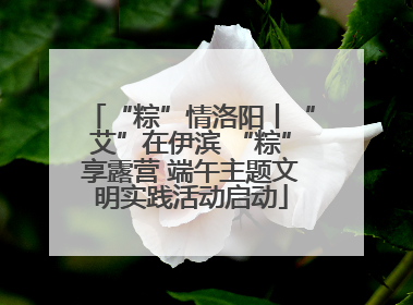 “粽”情洛阳丨“艾”在伊滨 “粽”享露营 端午主题文明实践活动启动