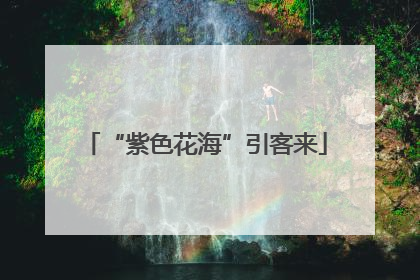 “紫色花海”引客来