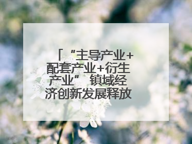 “主导产业+配套产业+衍生产业” 镇域经济创新发展释放强劲发展动能