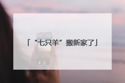“七只羊”搬新家了