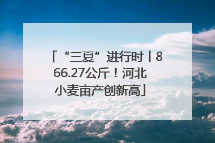 “三夏”进行时丨866.27公斤！河北小麦亩产创新高
