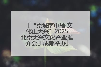 “京城南中轴·文化正大兴”2025北京大兴文化产业推介会于成都举办