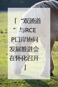 “双通道”与RCEP口岸协同发展推进会在怀化召开