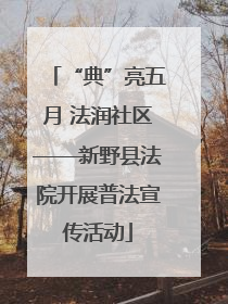 “典”亮五月 法润社区——新野县法院开展普法宣传活动