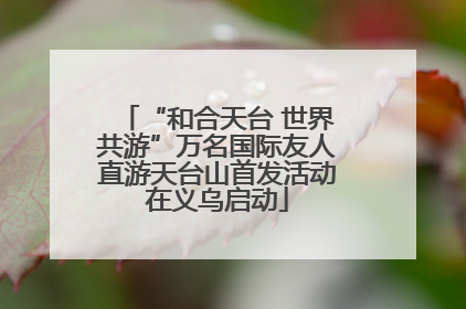 “和合天台 世界共游”万名国际友人直游天台山首发活动在义乌启动