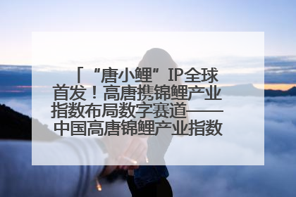 “唐小鲤”IP全球首发！高唐携锦鲤产业指数布局数字赛道——中国高唐锦鲤产业指数暨“唐小鲤”IP全球首发仪式在杭州举行