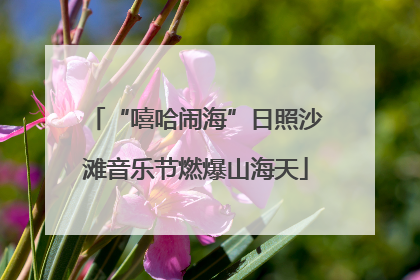 “嘻哈闹海”日照沙滩音乐节燃爆山海天