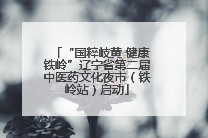 “国粹岐黄 健康铁岭”辽宁省第二届中医药文化夜市（铁岭站）启动