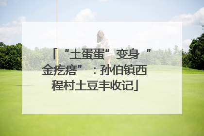 “土蛋蛋”变身“金疙瘩”：孙伯镇西程村土豆丰收记