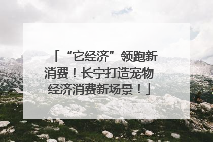 “它经济”领跑新消费！长宁打造宠物经济消费新场景！