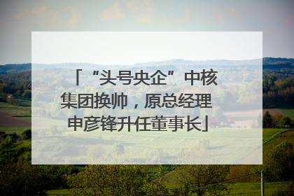 “头号央企”中核集团换帅，原总经理申彦锋升任董事长