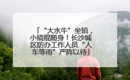 “大水牛”坐镇，小撬棍随身！长沙城区防办工作人员“人车等雨”严阵以待