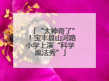 “太神奇了”！宝丰县山河路小学上演“科学魔法秀”