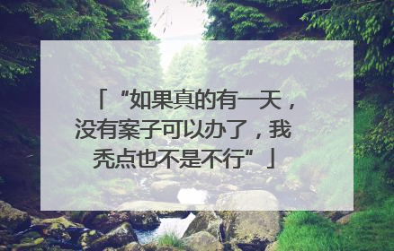 “如果真的有一天，没有案子可以办了，我秃点也不是不行”