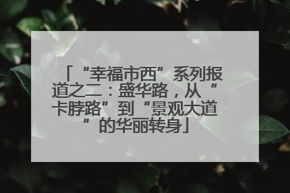 “幸福市西”系列报道之二：盛华路，从“卡脖路”到“景观大道”的华丽转身