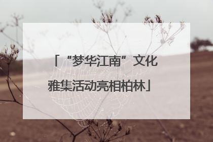 “梦华江南”文化雅集活动亮相柏林