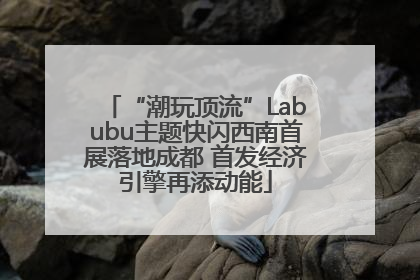 “潮玩顶流”Labubu主题快闪西南首展落地成都 首发经济引擎再添动能