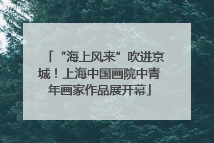 “海上风来”吹进京城！上海中国画院中青年画家作品展开幕