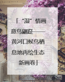 “湿”情画意鸟翩跹——黄河口候鸟栖息地再绘生态新画卷