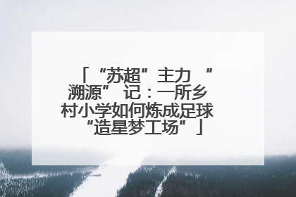“苏超”主力 “溯源” 记：一所乡村小学如何炼成足球 “造星梦工场”