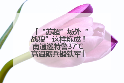 “苏超”场外“战狼”这样炼成！南通巡特警37℃高温砺兵锻铁军