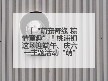 “萌宠奇缘 粽情童趣”！桃浦镇这场迎端午、庆六一主题活动“萌”翻全场～