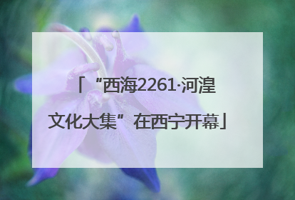 “西海2261·河湟文化大集”在西宁开幕