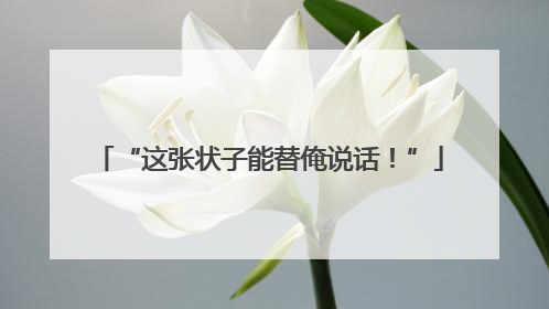 “这张状子能替俺说话！”