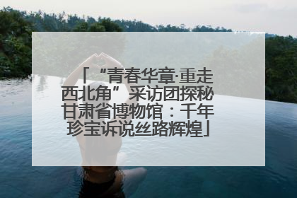 “青春华章·重走西北角”采访团探秘甘肃省博物馆：千年珍宝诉说丝路辉煌