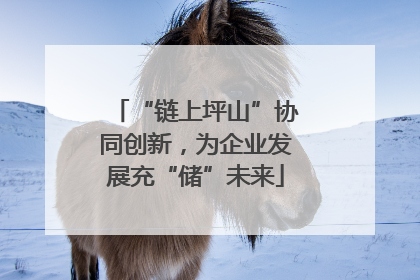“链上坪山”协同创新，为企业发展充“储”未来
