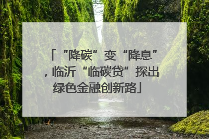 “降碳”变“降息”，临沂“临碳贷”探出绿色金融创新路
