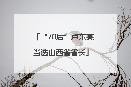 “70后”卢东亮当选山西省省长