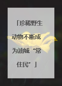 珍稀野生动物不断成为油城“常住民”