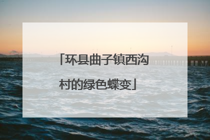 环县曲子镇西沟村的绿色蝶变