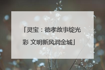 灵宝：德孝故事绽光彩 文明新风润金城
