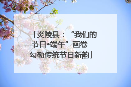 炎陵县：“我们的节日•端午”画卷 勾勒传统节日新韵