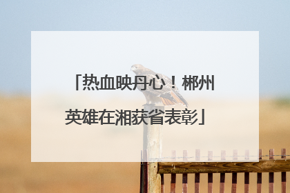 热血映丹心！郴州英雄在湘获省表彰