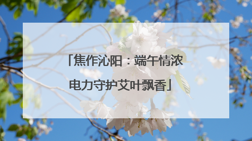 焦作沁阳：端午情浓 电力守护艾叶飘香