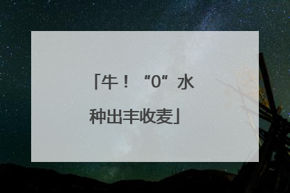 牛！“0”水种出丰收麦