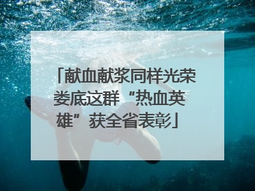 献血献浆同样光荣 娄底这群“热血英雄”获全省表彰