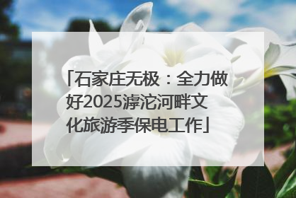 石家庄无极：全力做好2025滹沱河畔文化旅游季保电工作