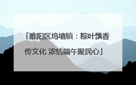 睢阳区坞墙镇：粽叶飘香传文化 浓情端午聚民心